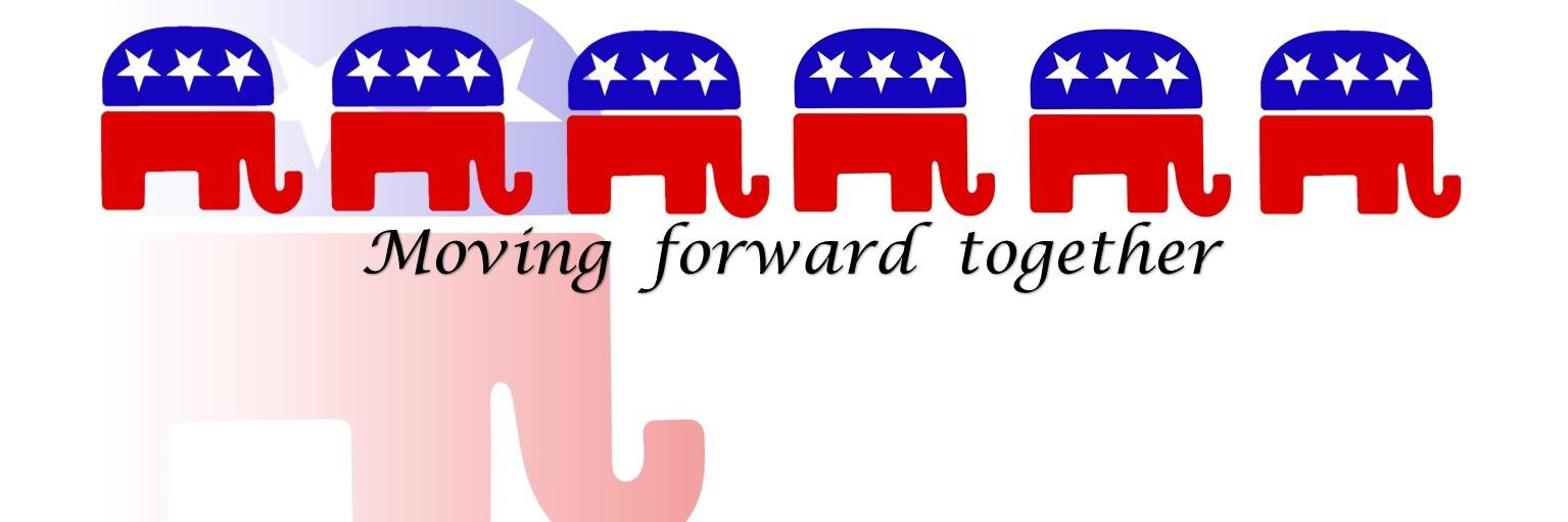 Republican Party HSC banner