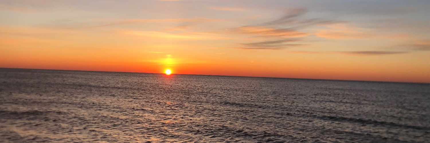 CarolyneAnthony's profile banner image