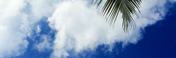 vero_selenatica's profile banner image