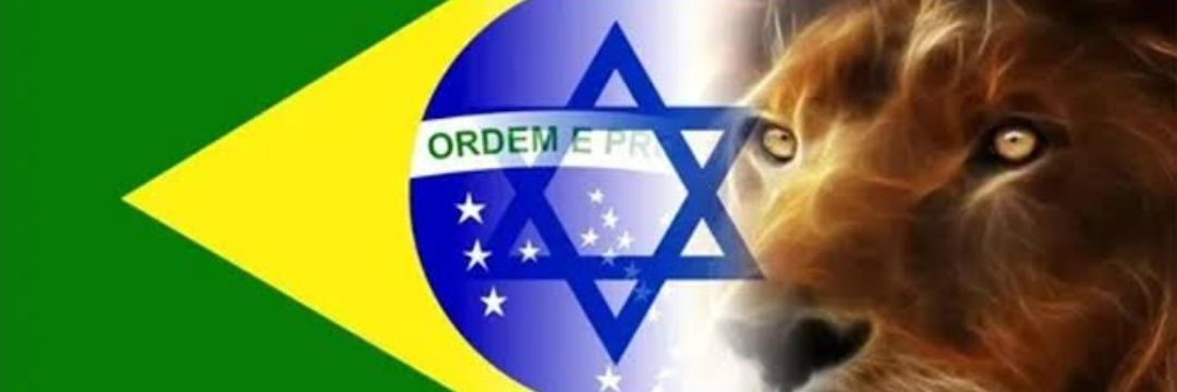 amorxonada's profile banner image