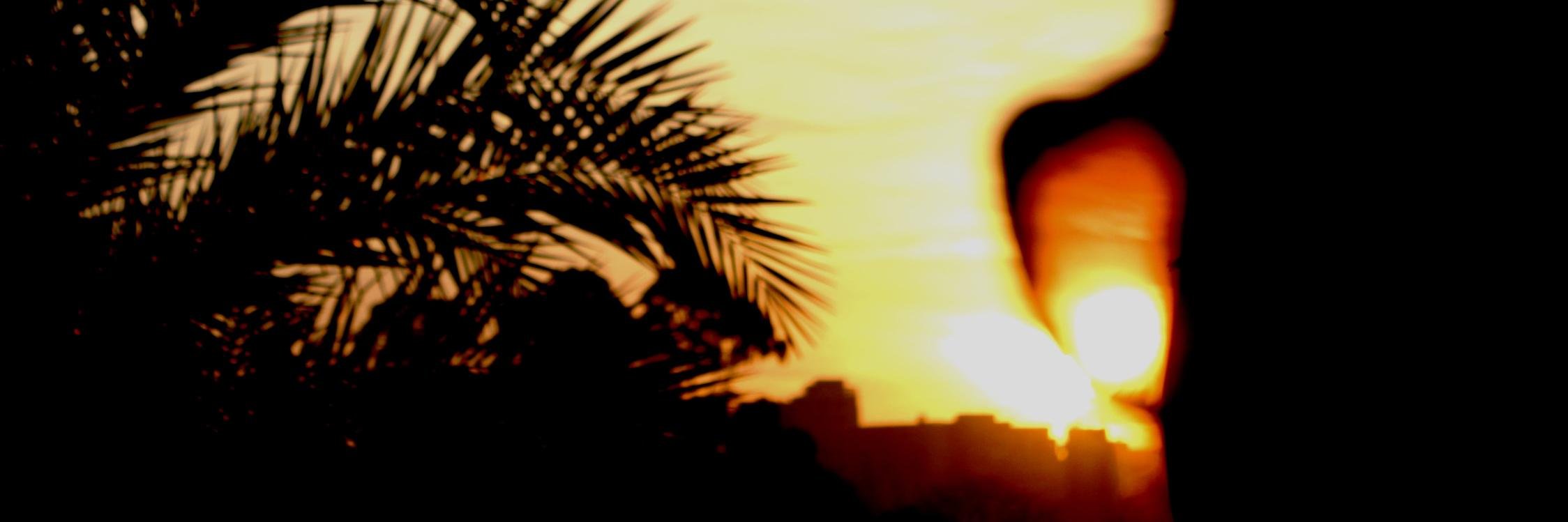 danielrlaviano's profile banner image
