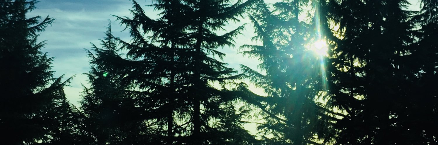 NeverSplitTens's profile banner image