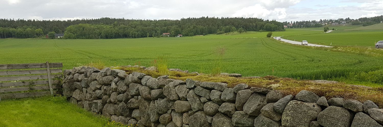 Grunnloven's profile banner image