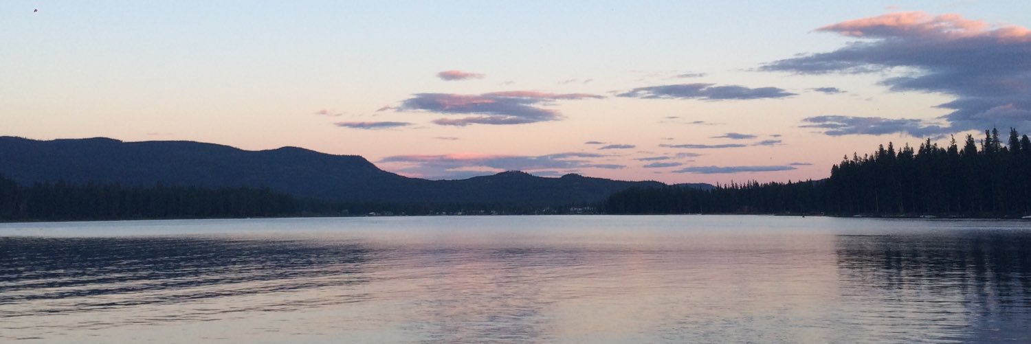BRIcardi_'s profile banner image