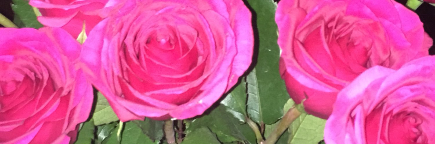 s_lagan's profile banner image