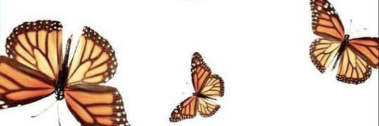 ClareGlauser's profile banner image