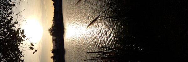 FernCommodari Profile Banner