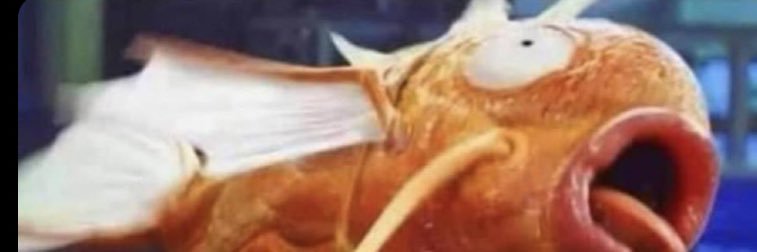 akikukekoo's profile banner image