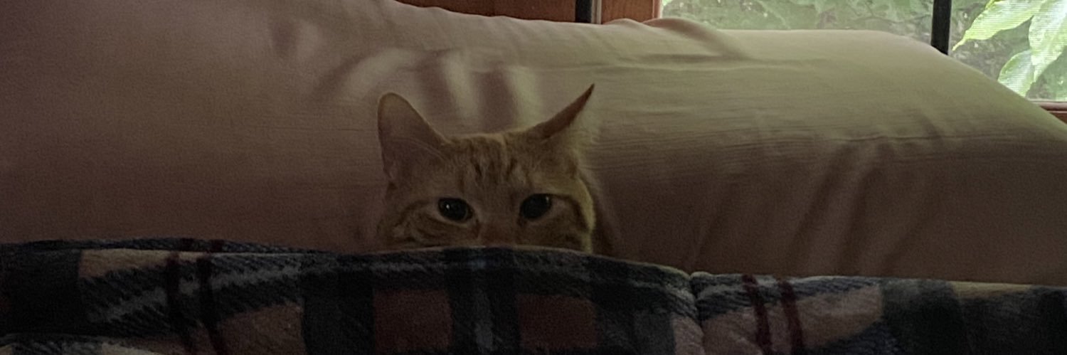 notzeb's profile banner image