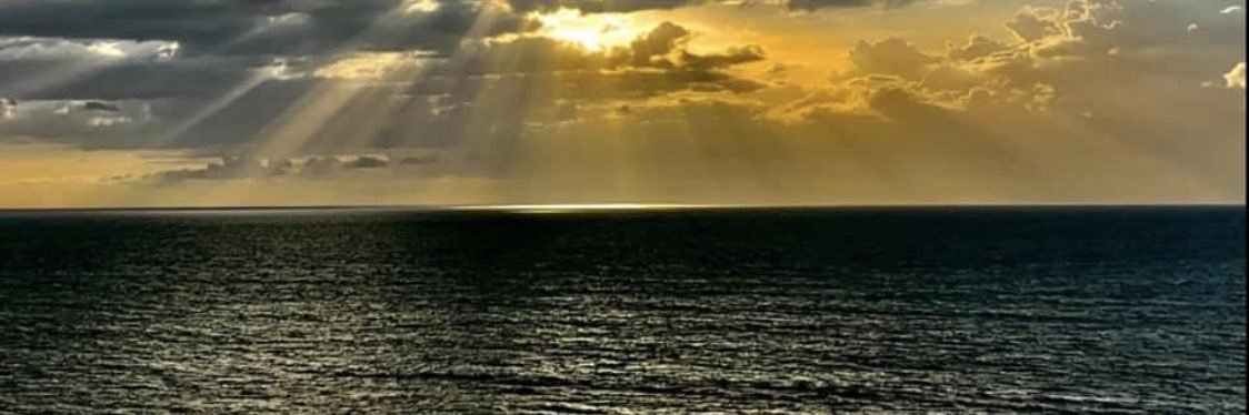 MichaelBerdiel's profile banner image