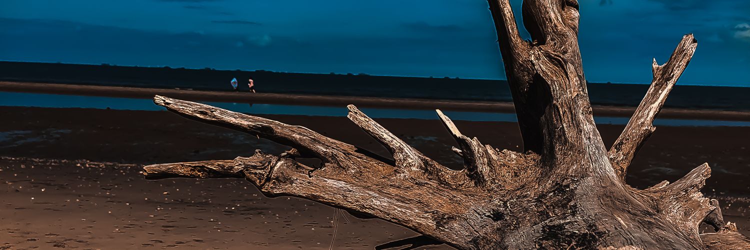 ithinkiamahuman's profile banner image