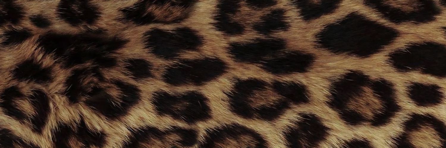 anracuj's profile banner image