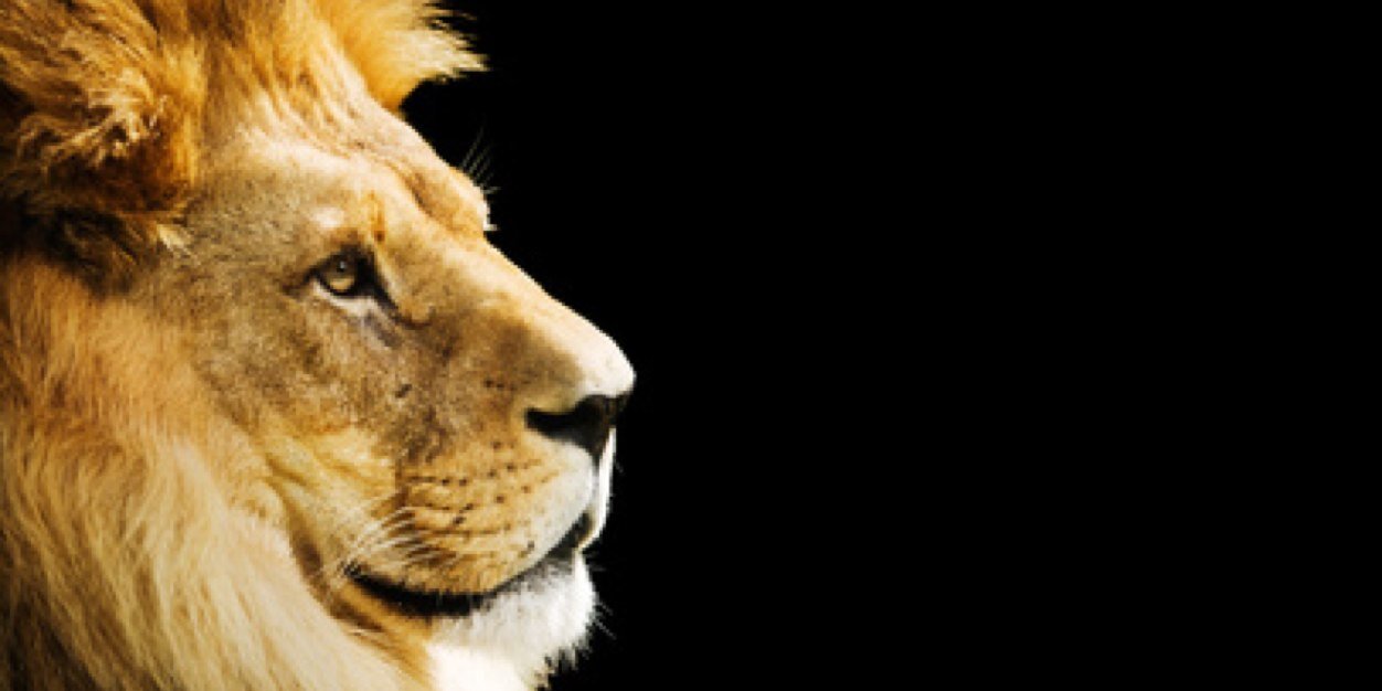 julienomics's profile banner image