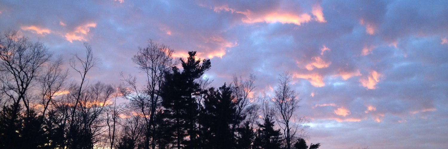 LauraPappy's profile banner image