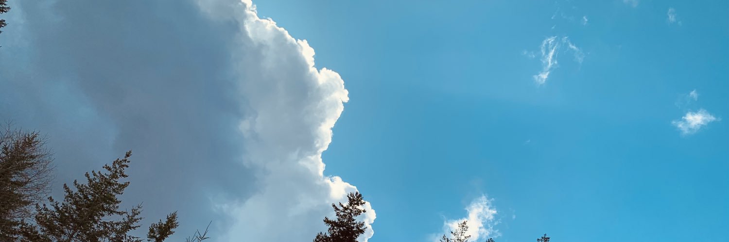 RichardYCho's profile banner image