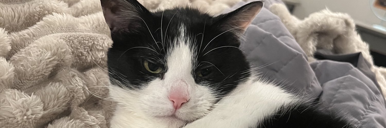 missbbea's profile banner image