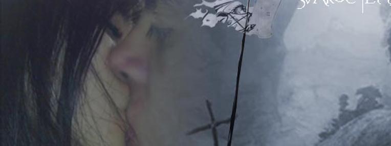 svaroc's profile banner image