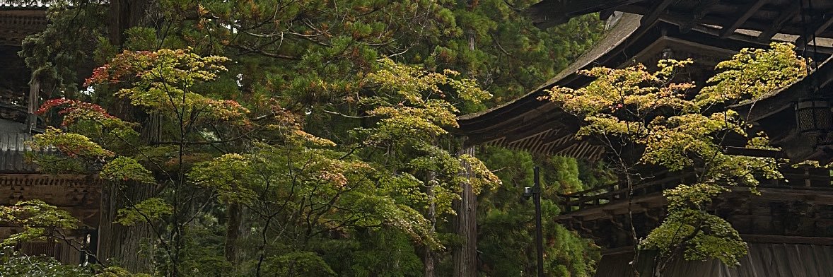 PascalKaren's profile banner image