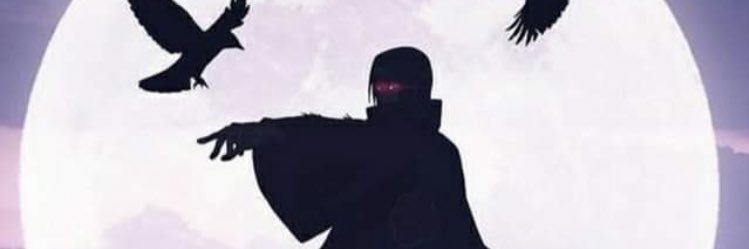 koleymariee's profile banner image