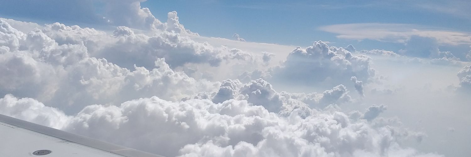 randyarii's profile banner image