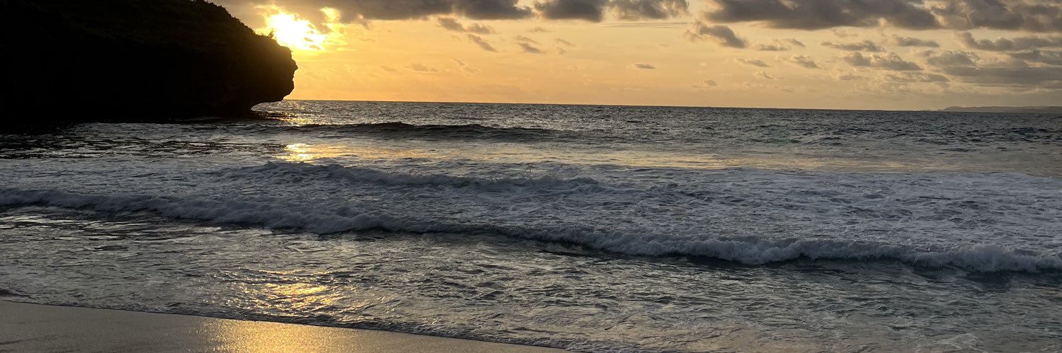 カニヤ🍏🌼 banner