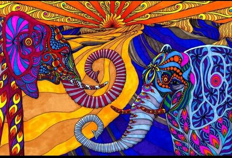 mica_246's profile banner image