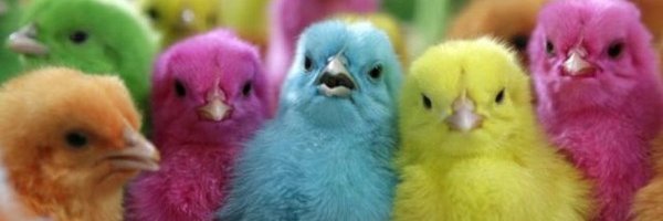 Loopetz's profile banner image