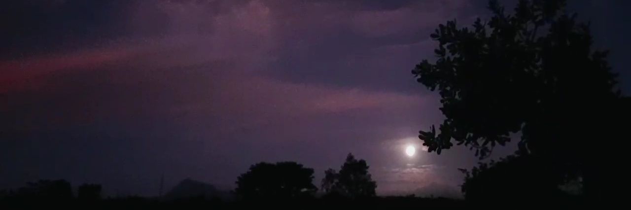 lostsugarr's profile banner image