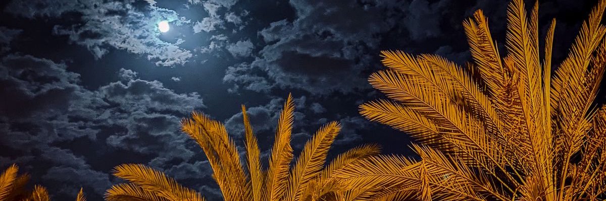 you5a94_'s profile banner image