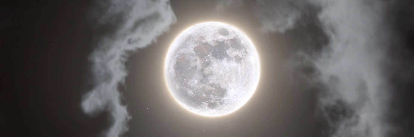 wintrrqueen's profile banner image