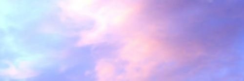 emmy_davis's profile banner image