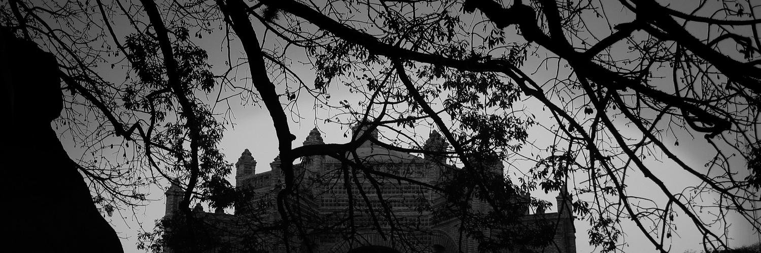 MartinVargasMX's profile banner image
