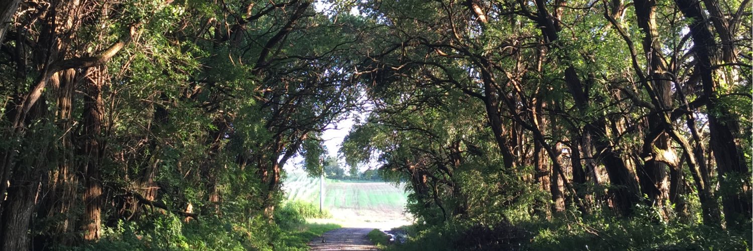 KodyMefford's profile banner image