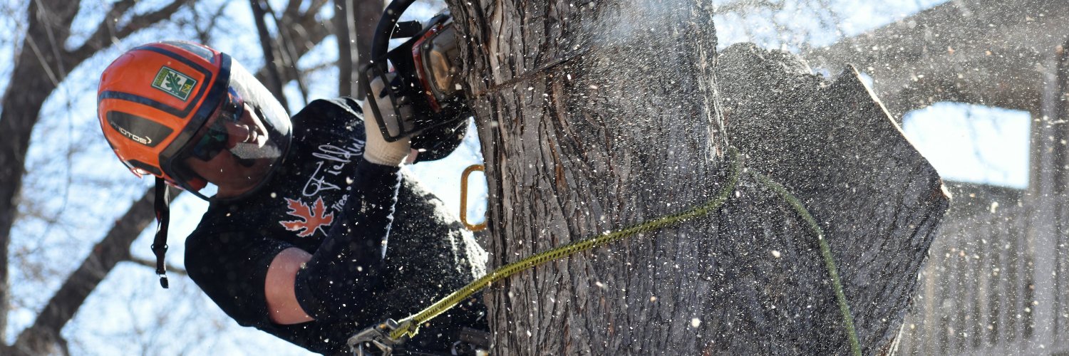 FieldingTrees's profile banner image