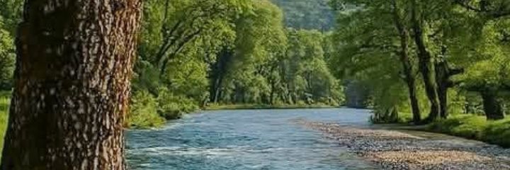 001_ferd's profile banner image