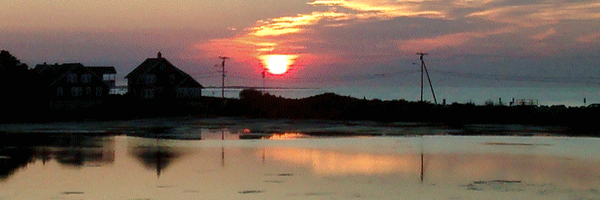 JulietWaters Profile Banner