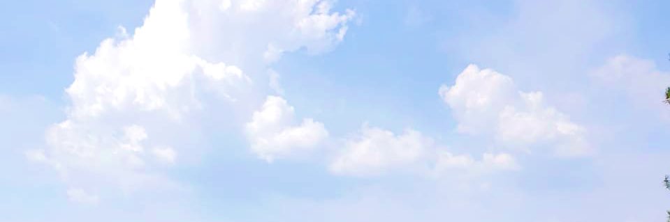 ctsyf's profile banner image