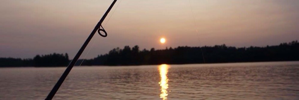 shaylinprout's profile banner image