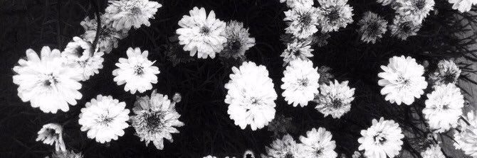 brixial's profile banner image
