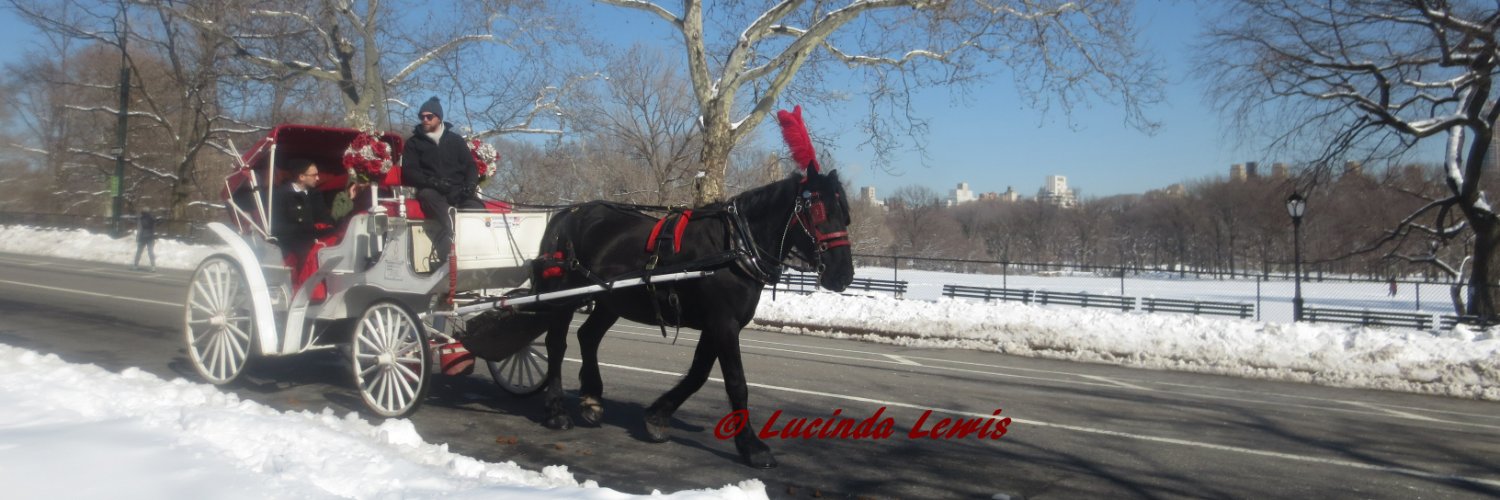 LucindaLewis's profile banner image