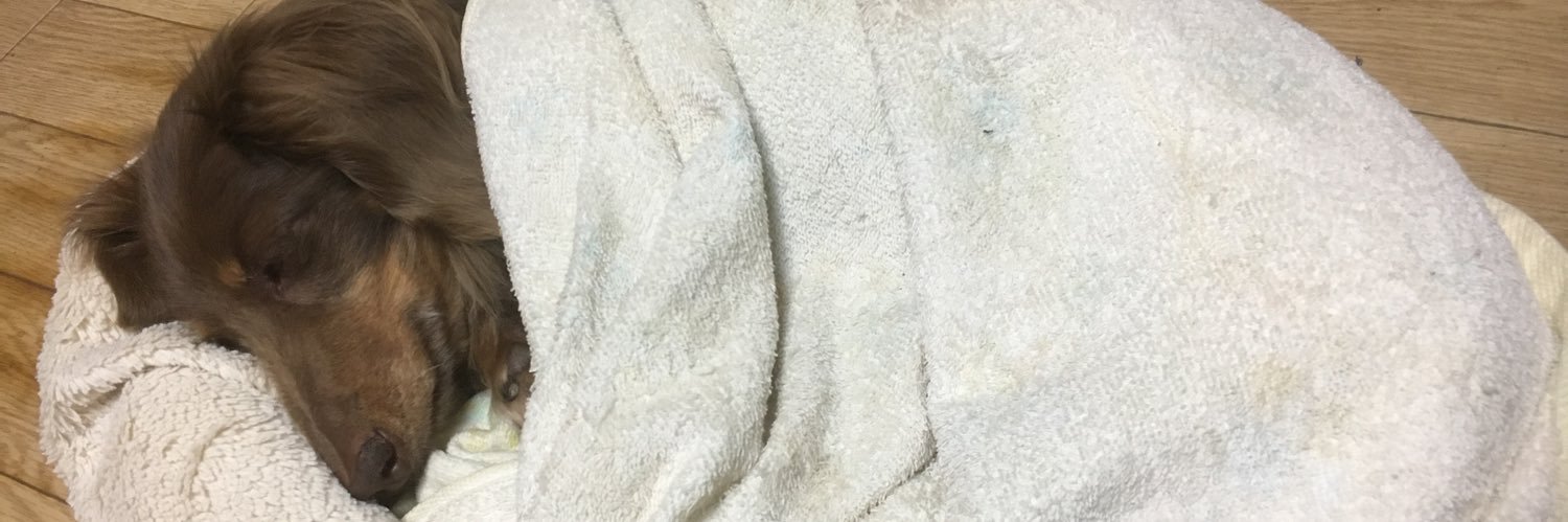 tanosimi2002's profile banner image