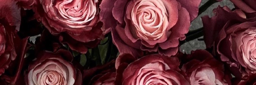 ecaecrut's profile banner image