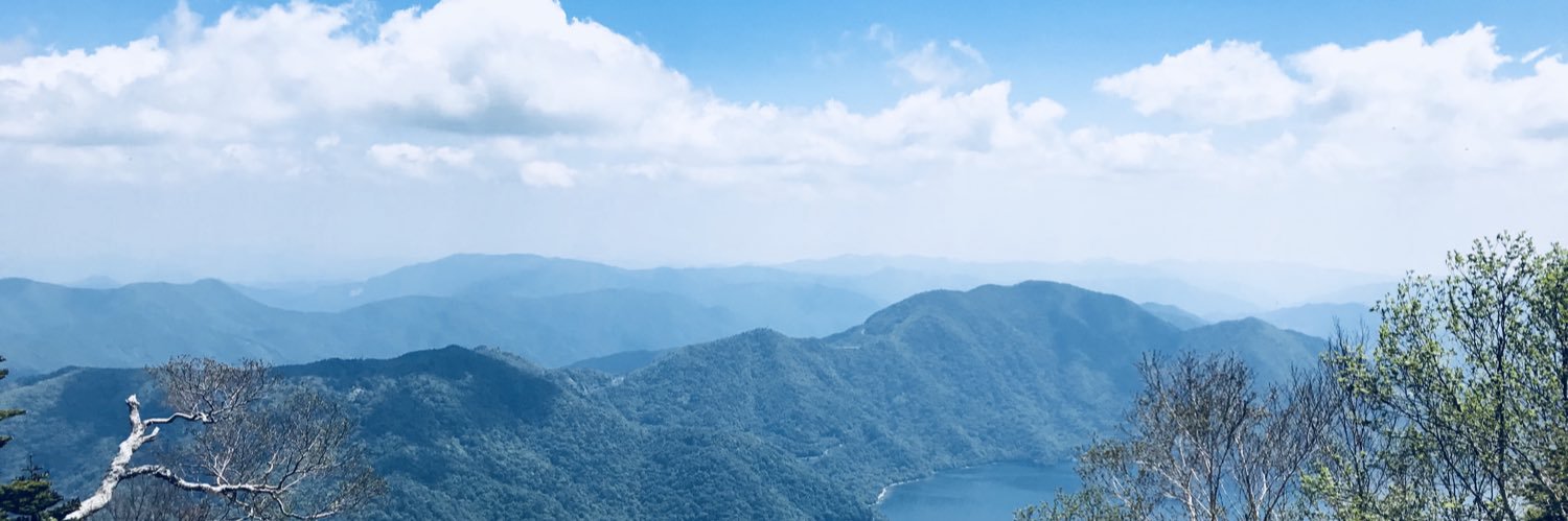 yumiko kosugi banner