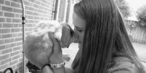 KimvanderVrande's profile banner image