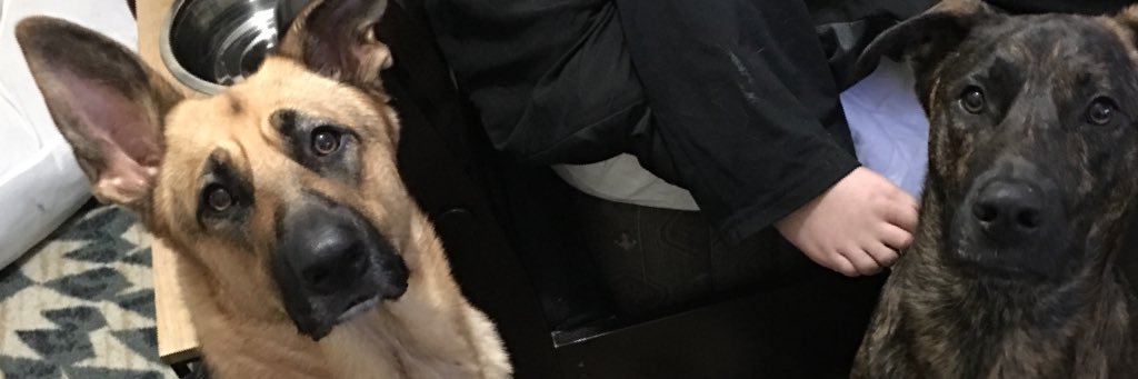 Peyton “Half” White banner