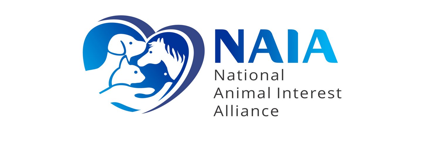 TheNAIA's profile banner image
