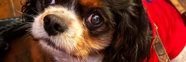 kizcoyle Profile Banner