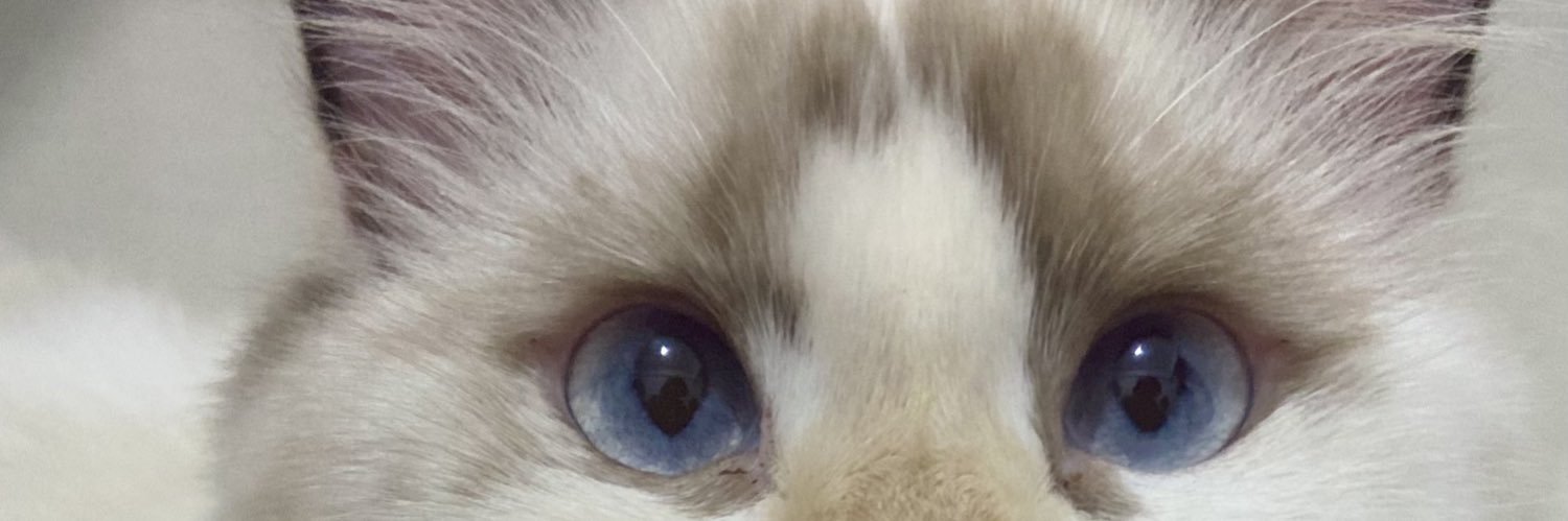 𝓃 banner