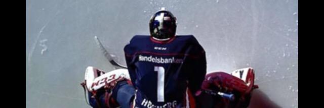 Marcus Högberg banner