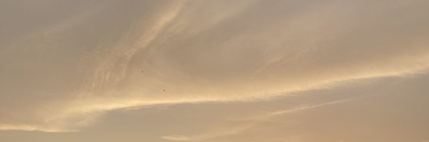 adflojera's profile banner image